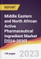 Middle Eastern and North African Active Pharmaceutical Ingredient (API) Market [2024-2030] - Product Thumbnail Image